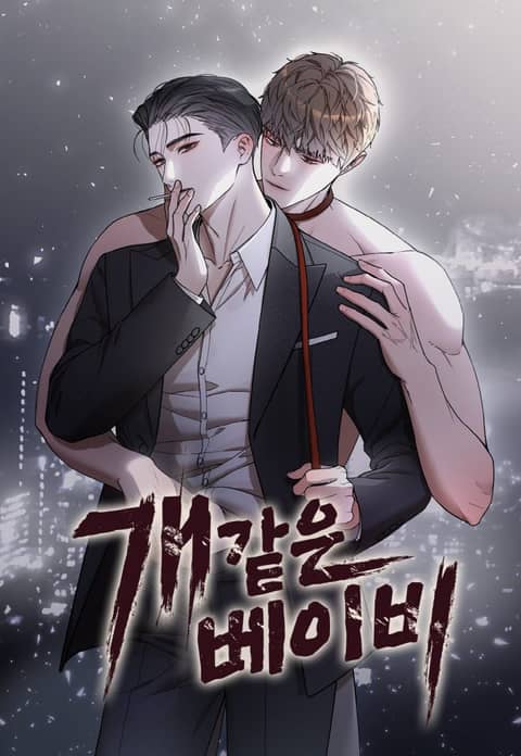 封面