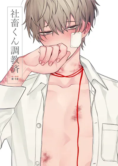 封面