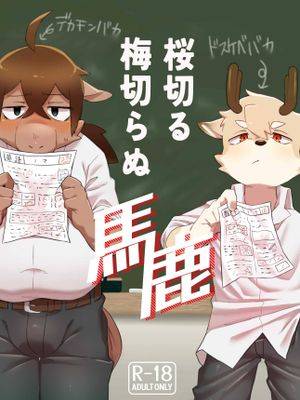 封面